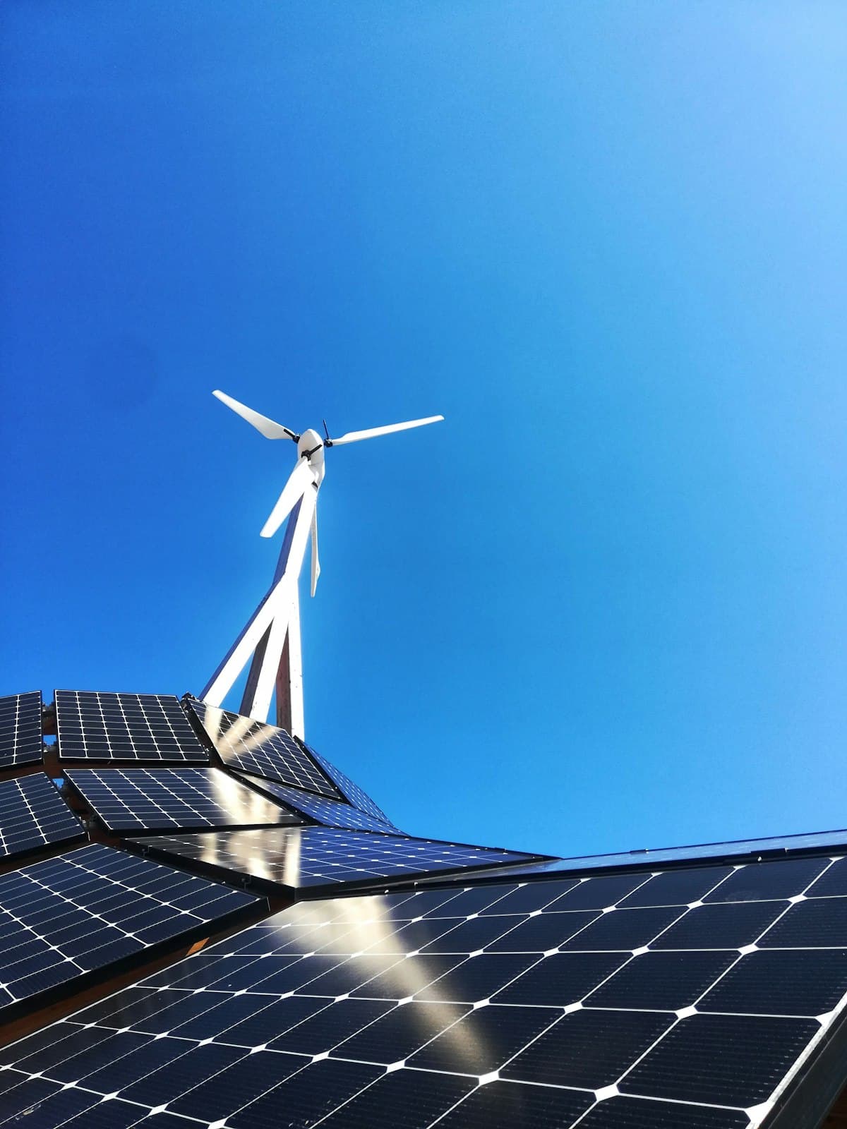Turning Point Capital's Sustainable Finance View on Leading Indicators | Spring signals; green shoots emerging?